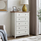 Modern 5 Drawers Dresser 5 Drawers Cabinet,Chest of Drawers Closet Organizers and Storage Clothes Storage Drawers Cabinet
