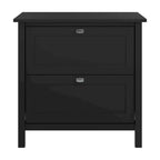Broadview 2 Drawer Lateral File Cabinet by Bush Furniture