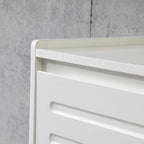 31Multi-Functional Shoe Cabinet