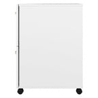 Hybrid 2 Drawer Mobile File Cabinet by Bush Business Furniture