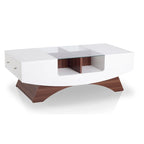 Furniture of America Angelic Contemporary Storage Coffee Table with Glass Insert