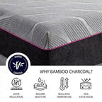 Bridgevine Home 11 inch Renew Flex Top Cooling GelCare Memory Foam Adult Mattress