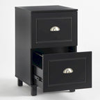Simple Living Bradley 2-drawer Filing Cabinet