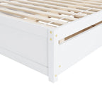 Full Bed Frame With Twin Trundle and 2 Drawers