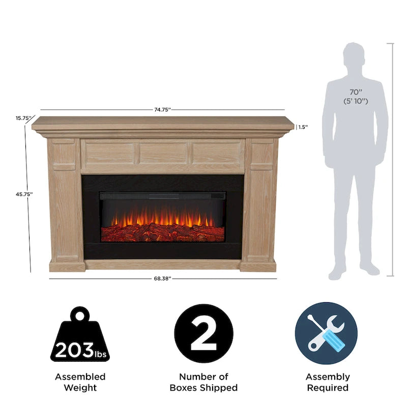 Alcott 75  Landscape Electric Fireplace by Real Flame