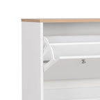 Minimalist Shoe Storage Cabinet with Wood Grain Finished Top Panel