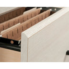 Summit Station Lateral File