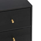 2 Doors Rattan Storage Cabinet with Adjustable Shelves and 3 Drawers