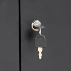 Metal Storage Cabinet with 2 Doors and 2 Adjustable Shelves, Steel Lockable Garage Storage Cabinet, Metal File Cabinet
