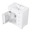 Bathroom Vanity Cabinet with Sink Top,Door and Two Drawers