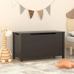 Kids Wooden Toy Box Storage with Safety Hinged Lid for Ages 3+
